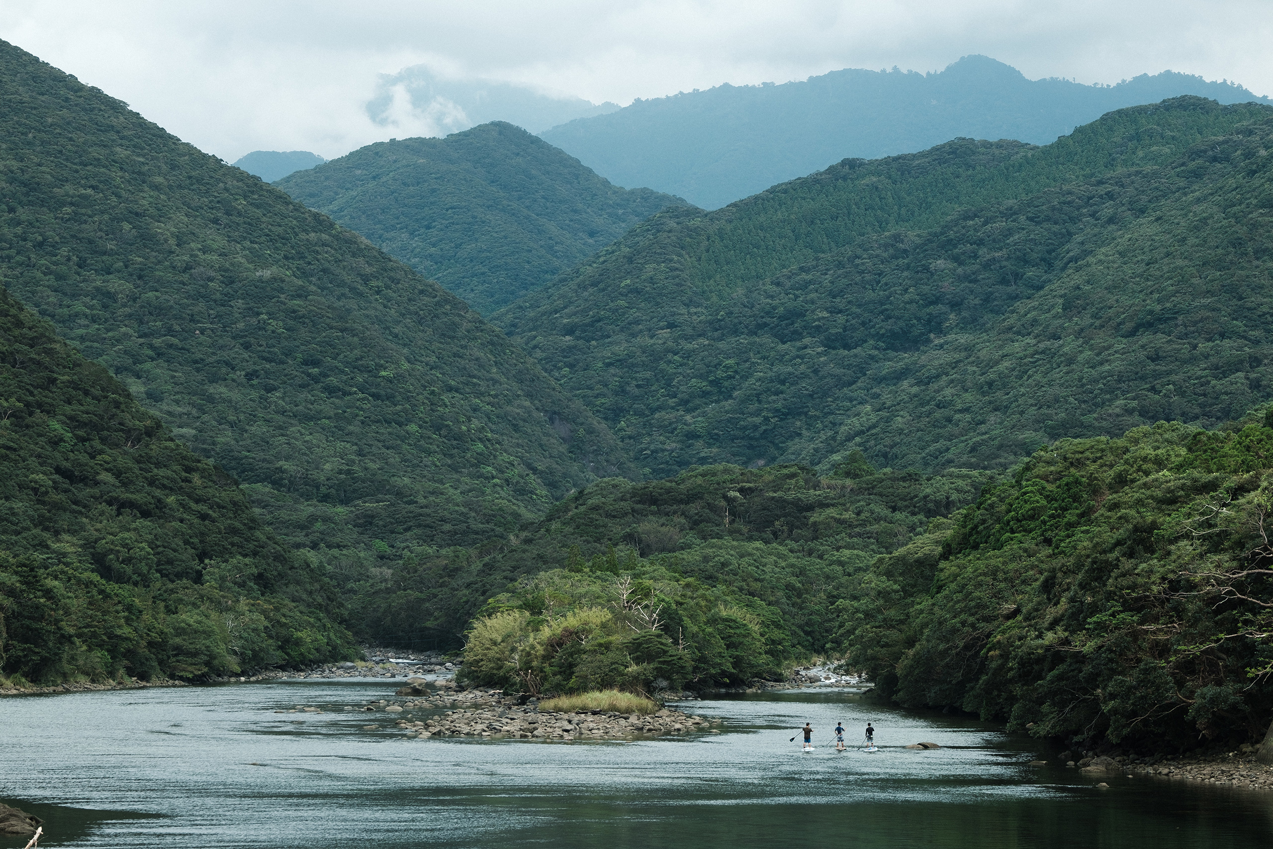 Yakushima - The Mystical Island